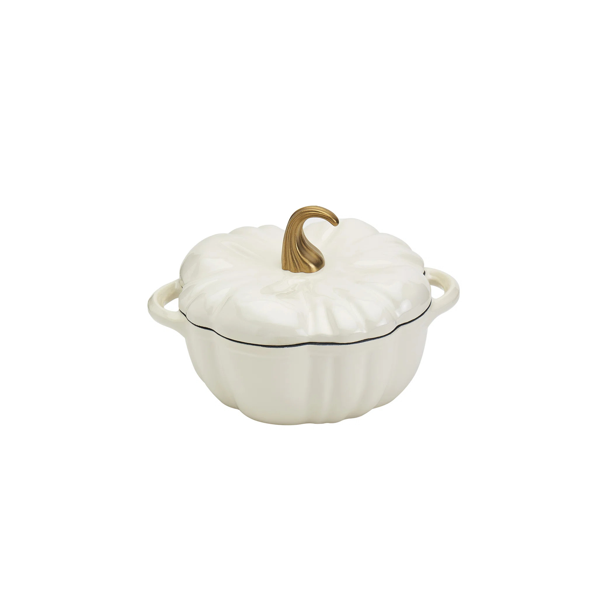 Smith and Clark Cast Iron Pumpkin Figural Dutch Oven | Wayfair North America