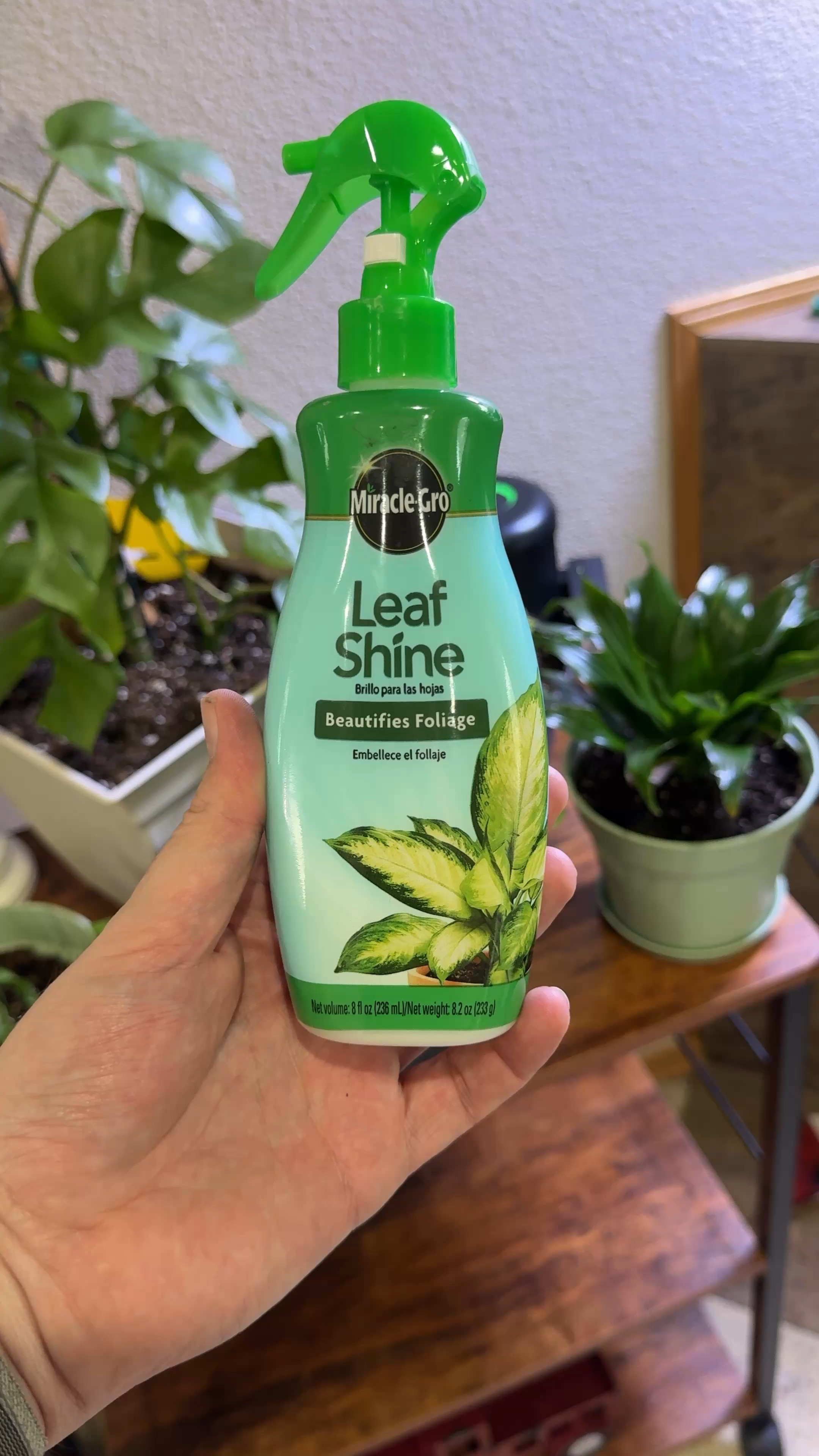 Leaf shine by miracle grow to shine and clean your plant leaves.
#plants 