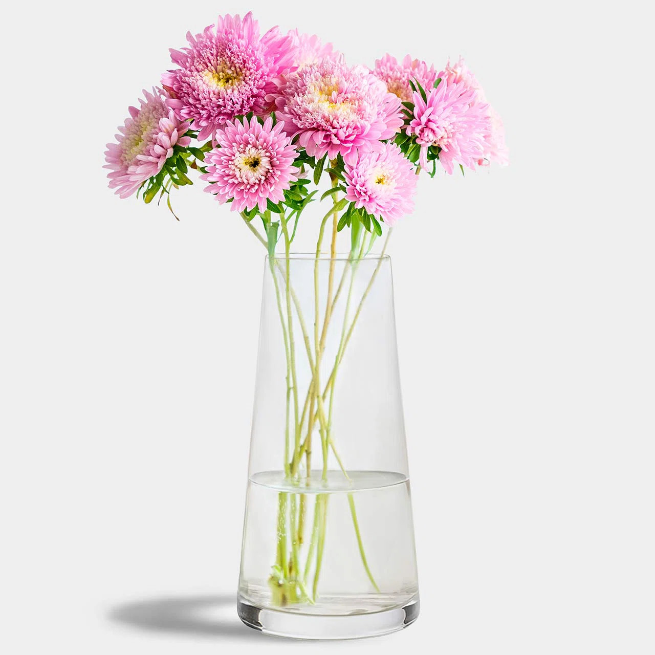 Aadvik 12 inch Glass Table Vase, 82 oz Capacity | Wayfair North America