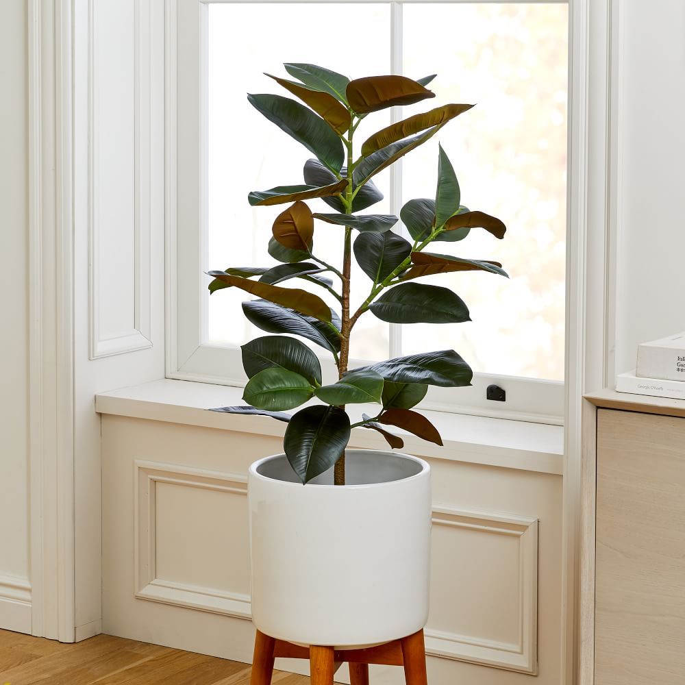 Faux Potted Rubber Tree | West Elm (US)