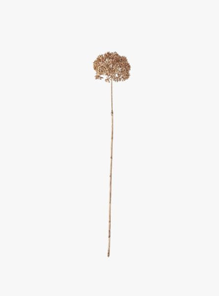 28" Tan Wild Cherry Bud Stem | Amazon (US)