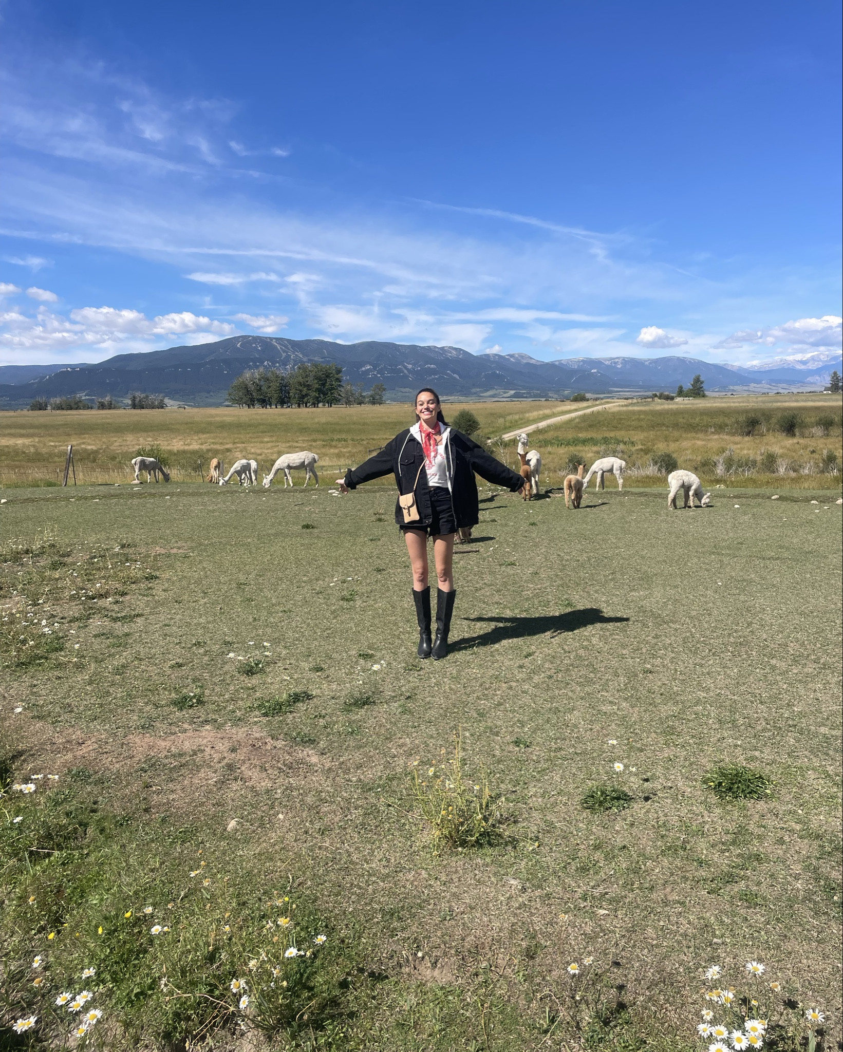 alpaca farm chic loll best day everrrr 