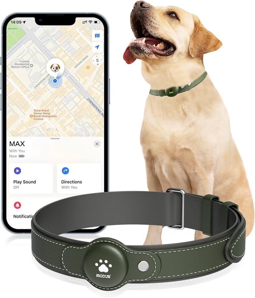 GPS Tracker for Dogs, 2 in 1 Pet Tracking Smart Collar (Only iOS), No Monthly Fee GPS Tracker Dog... | Amazon (US)