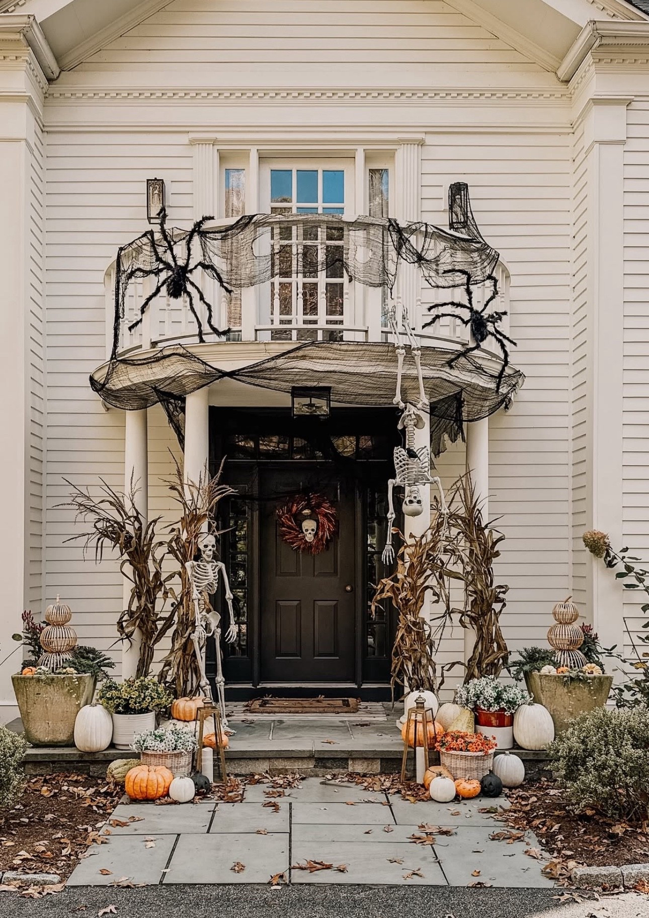 One last look at spooky season….👀🎃🕸️