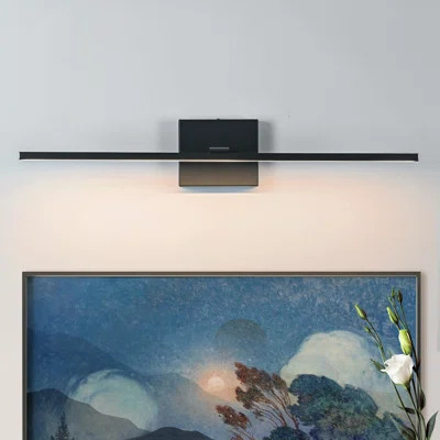 Joselynne Dimmable Wall Mounted Picture Light | Wayfair North America