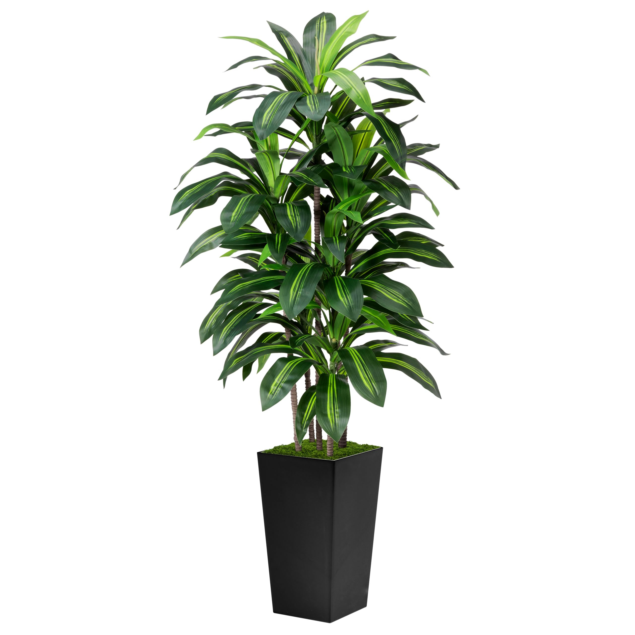 Artificial Dracaena Tree 5FT - Fake Tree with Black Tall Planter - Faux Yucca Tall Fake Floor Pla... | Amazon (US)