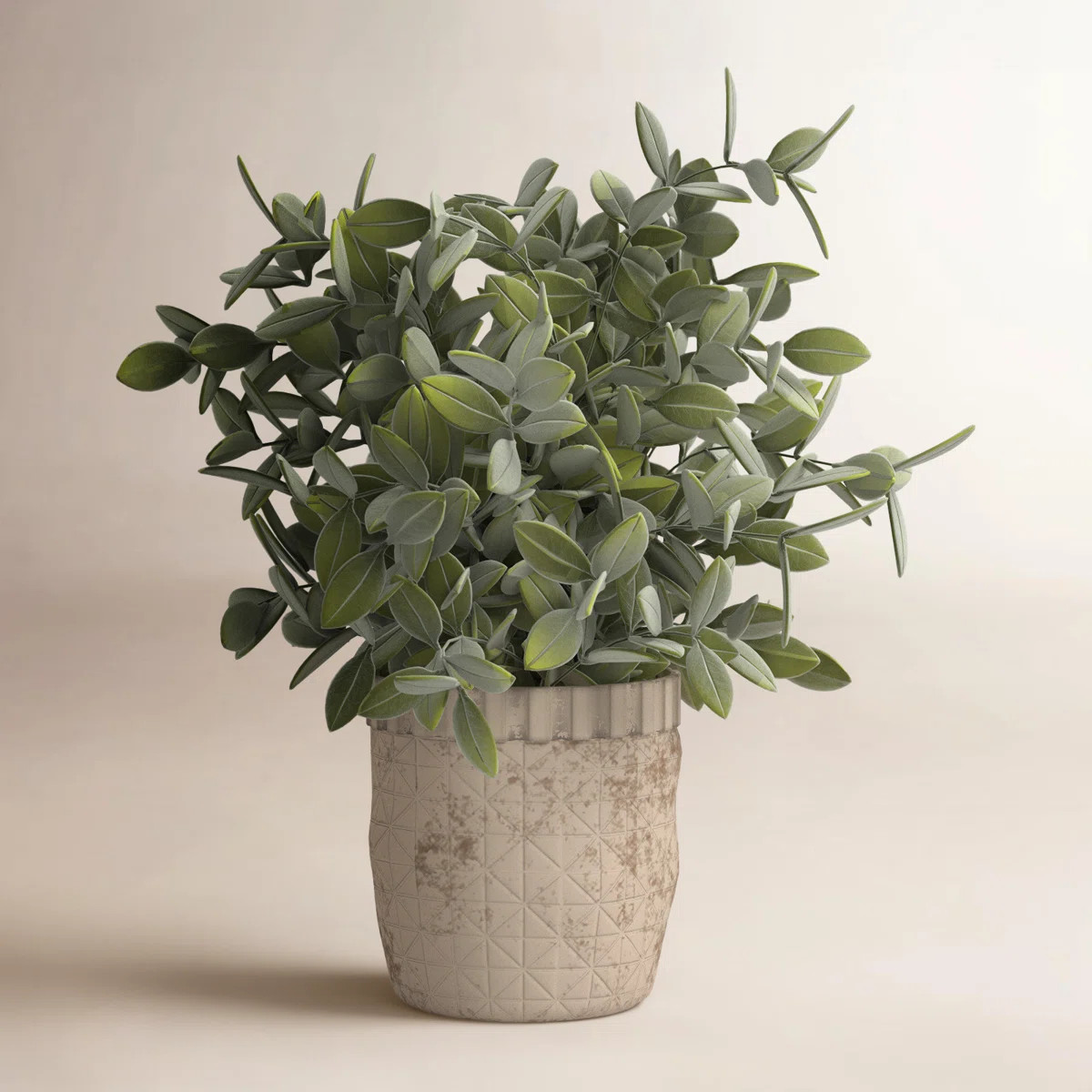 Artificial Sage Plant in Criss Cross Rustic White Pot | Wayfair North America