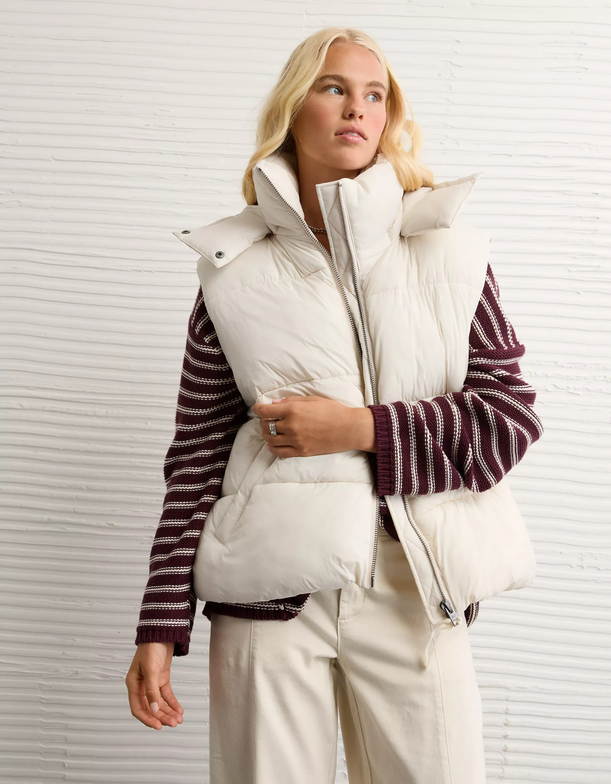 AE Technical Puffer Vest | American Eagle Outfitters (US & CA)