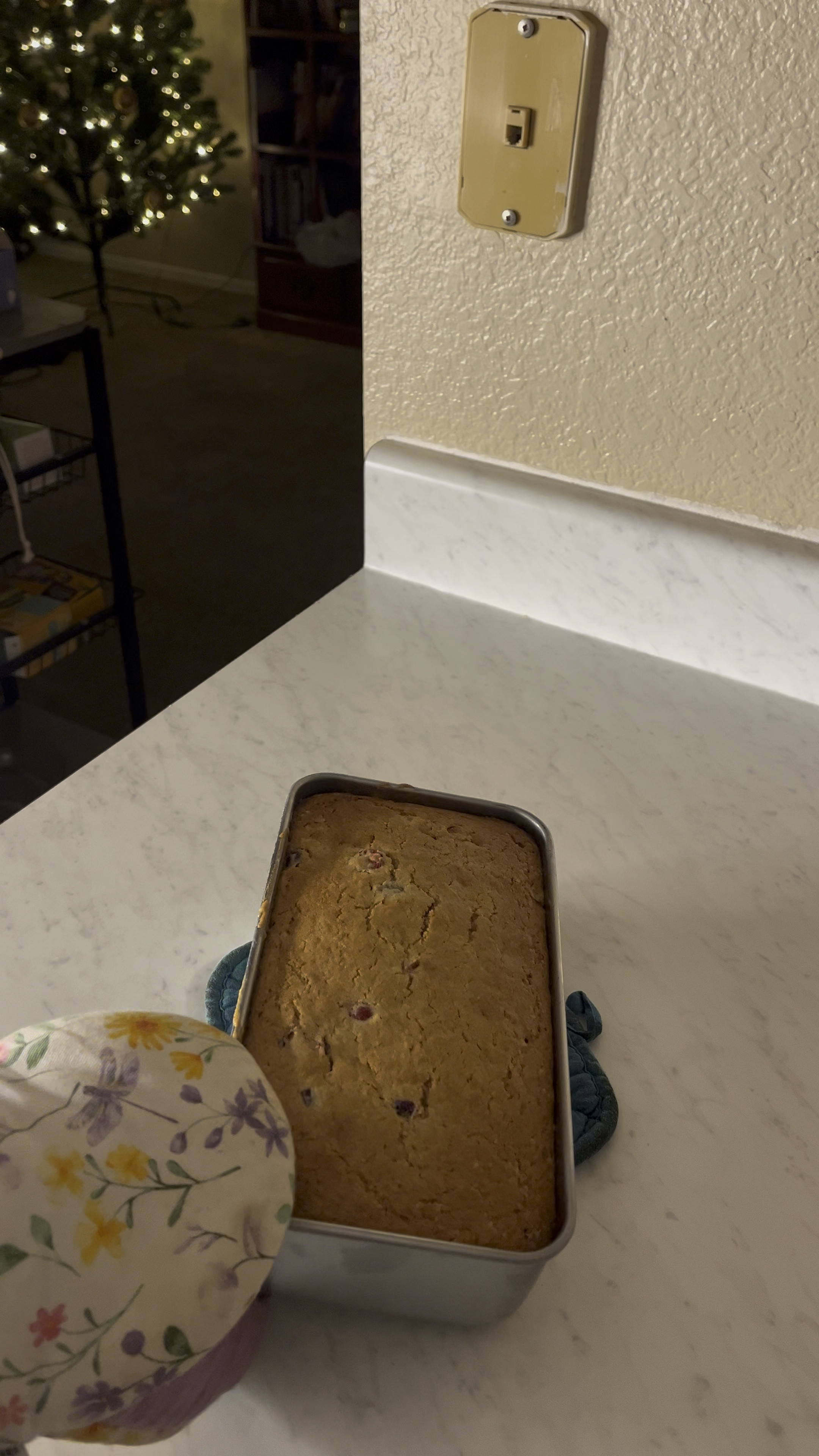 #LTKWatchNow #LTKHoliday #LTKSeasonal