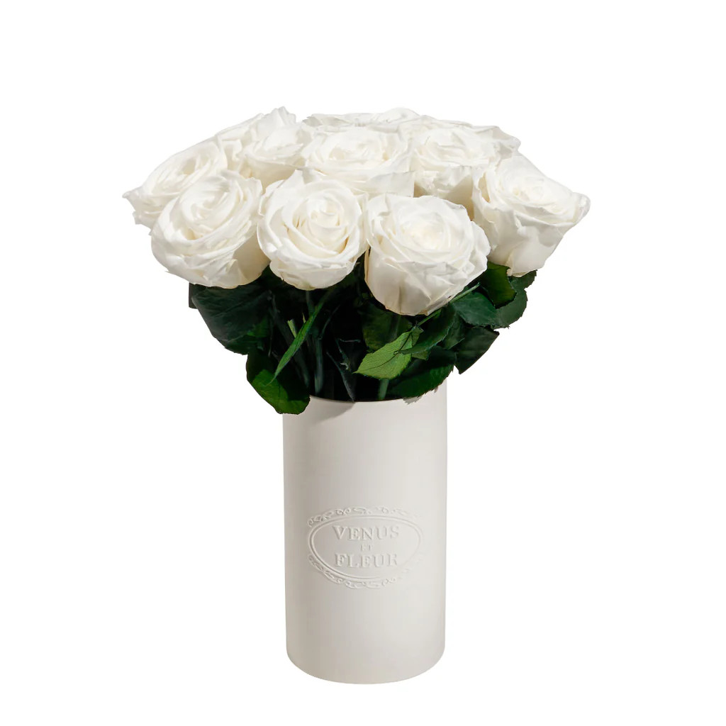 Le Douze - A Dozen Stemmed Eternity Roses | Venus ET Fleur