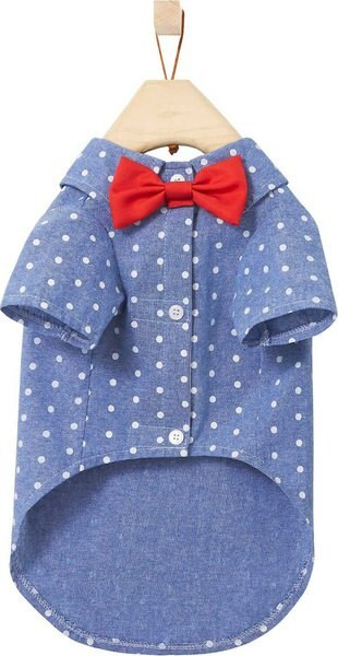 FRISCO Polka Dot Chambray Dog & Cat Button Up Shirt, Medium - Chewy.com | Chewy.com
