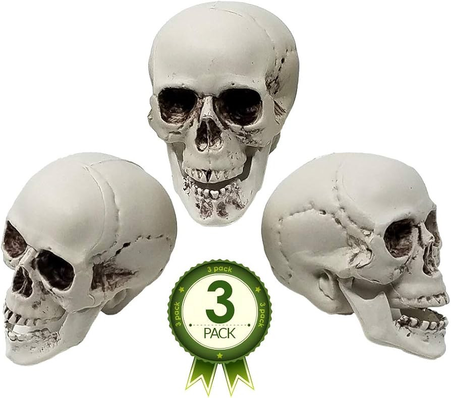 Colonel Pickles Novelties Skull Decorations – Bag Of 3 Plastic 5 Inch Skulls For Halloween Deco... | Amazon (US)