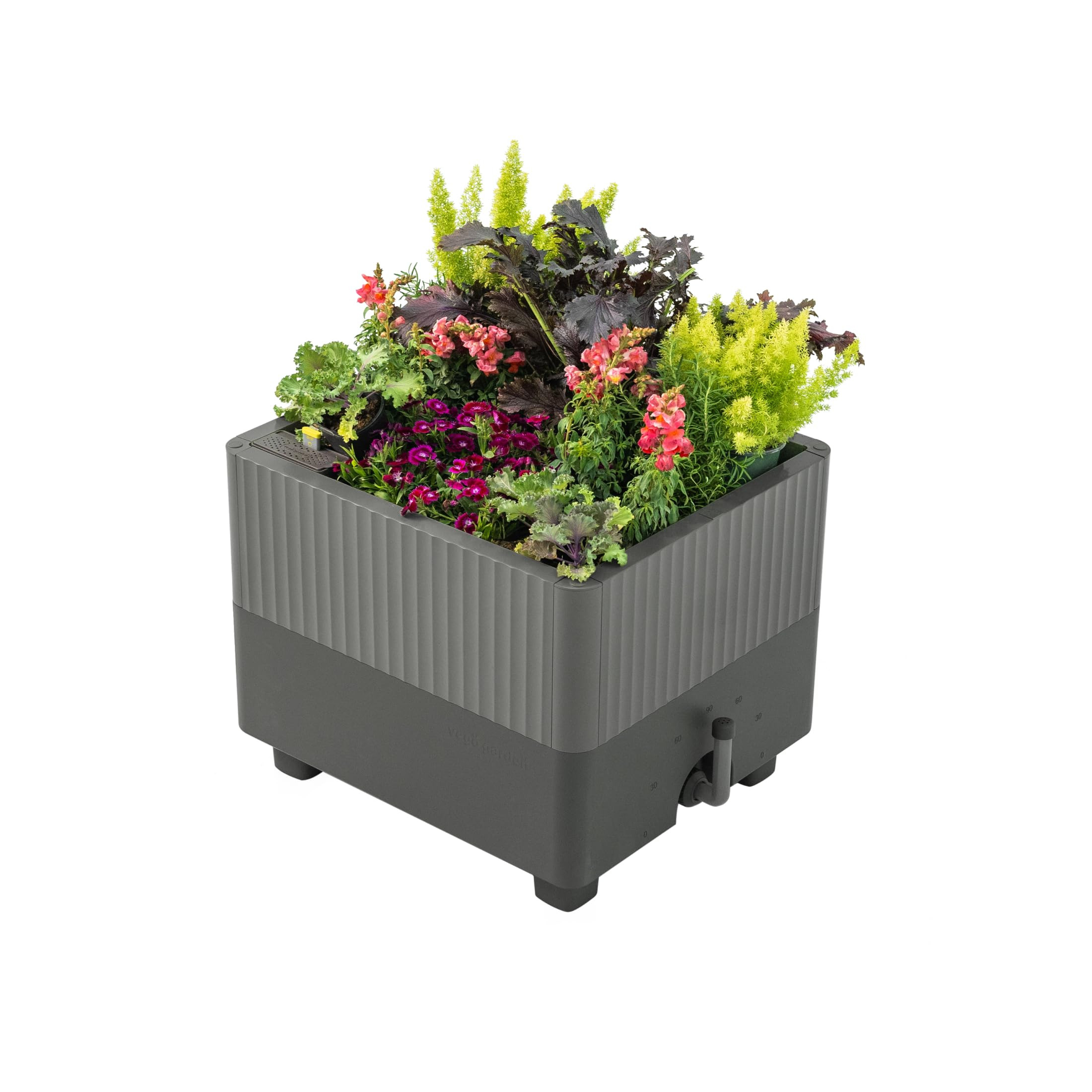 Vego garden EZCube Self Watering Planter Box Outdoor, Raised Garden Bed with Water Gauge for Balc... | Amazon (US)