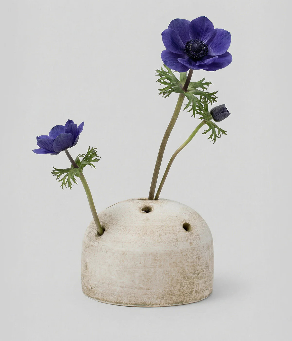 White Terra Cotta Frog Vase | Chalky White Patina | Bloomist | Bloomist, Inc