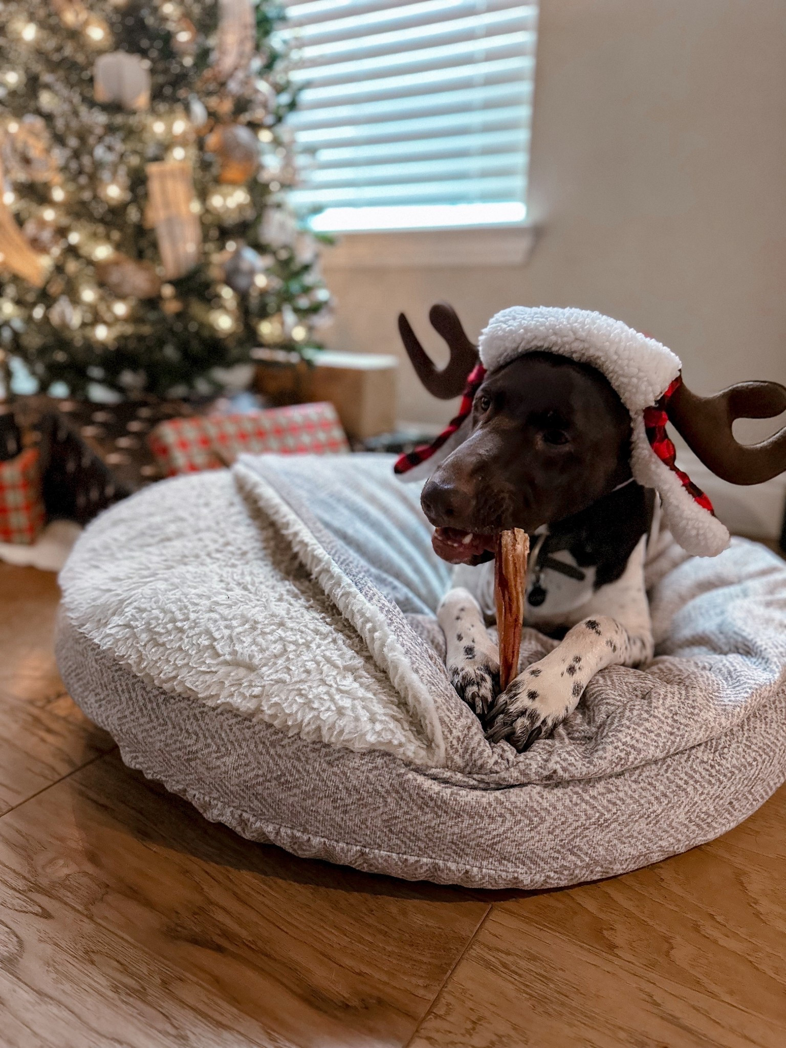 #LTKHoliday #LTKGiftGuide #LTKmomlife