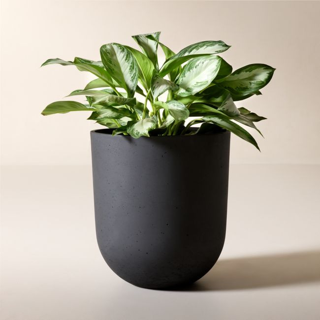 Seminyak Black Cement Indoor/Outdoor Large Planter 22"H | CB2