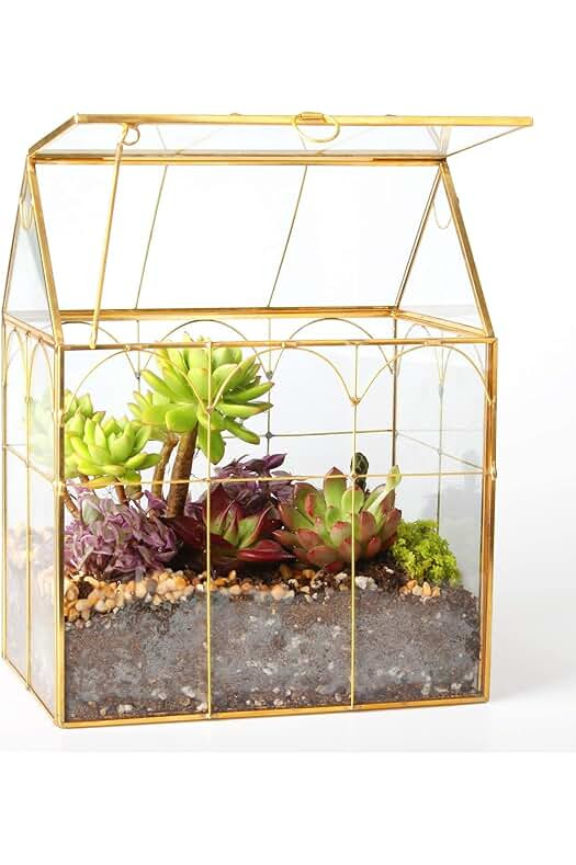 Gold House | Amazon (US)