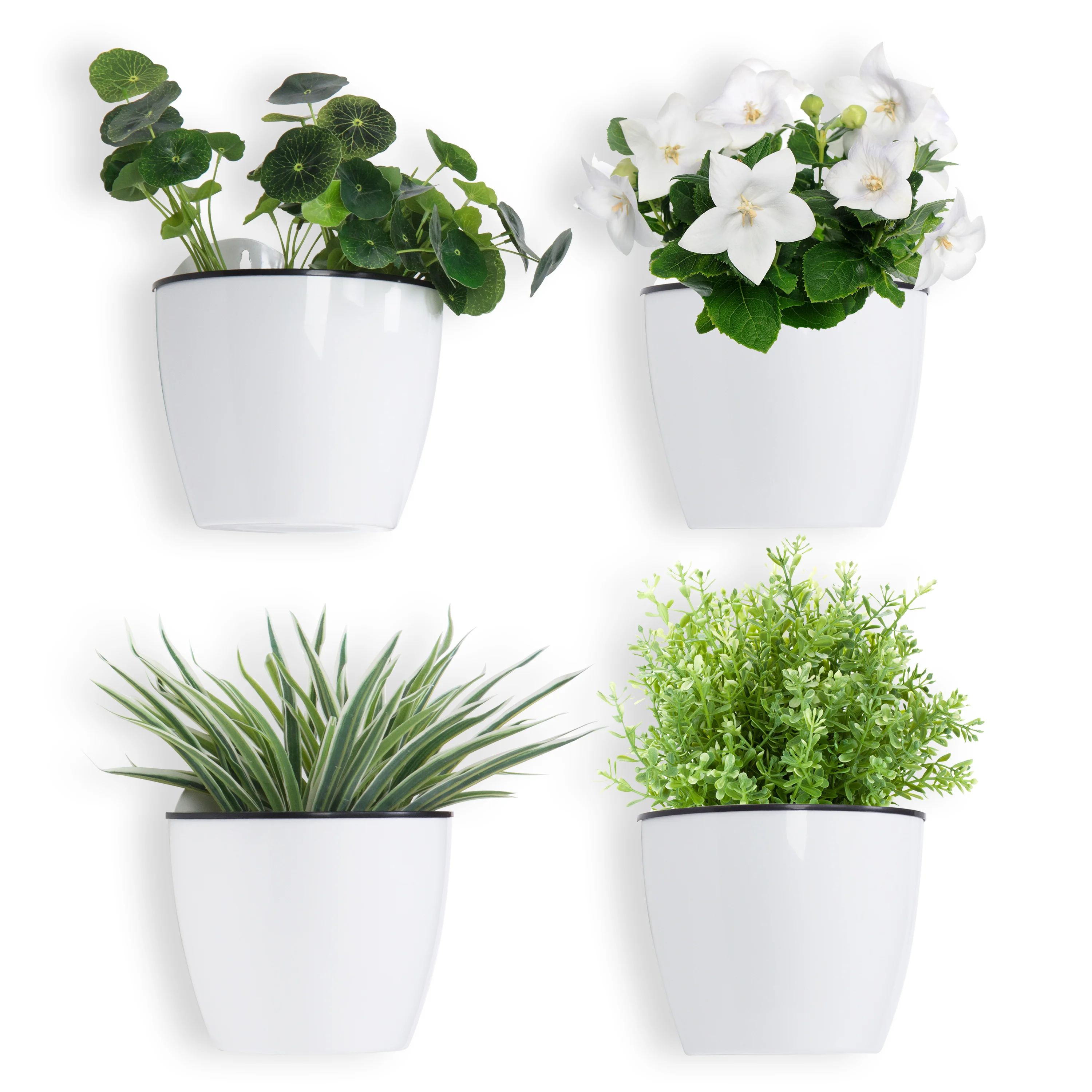 Shellson 4-Piece Plastic Wall Planter Set (Set of 4) | Wayfair North America