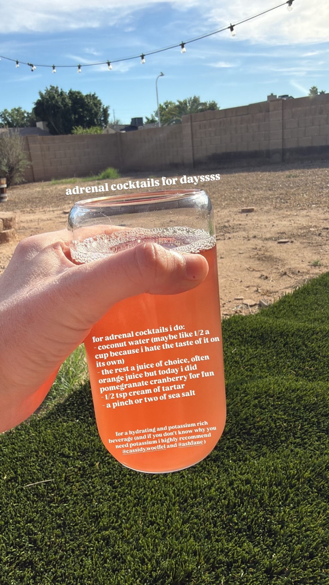 adrenal cocktail recipe 



#LTKselfcare #LTKdayinmylife #LTKSeasonal