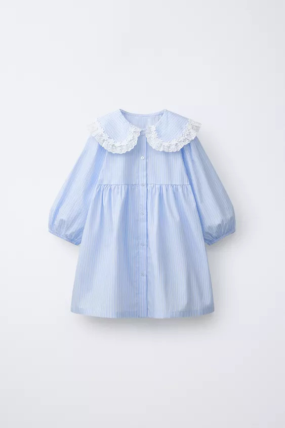 EMBROIDERED POPLIN PETER PAN COLLAR DRESS | Zara US