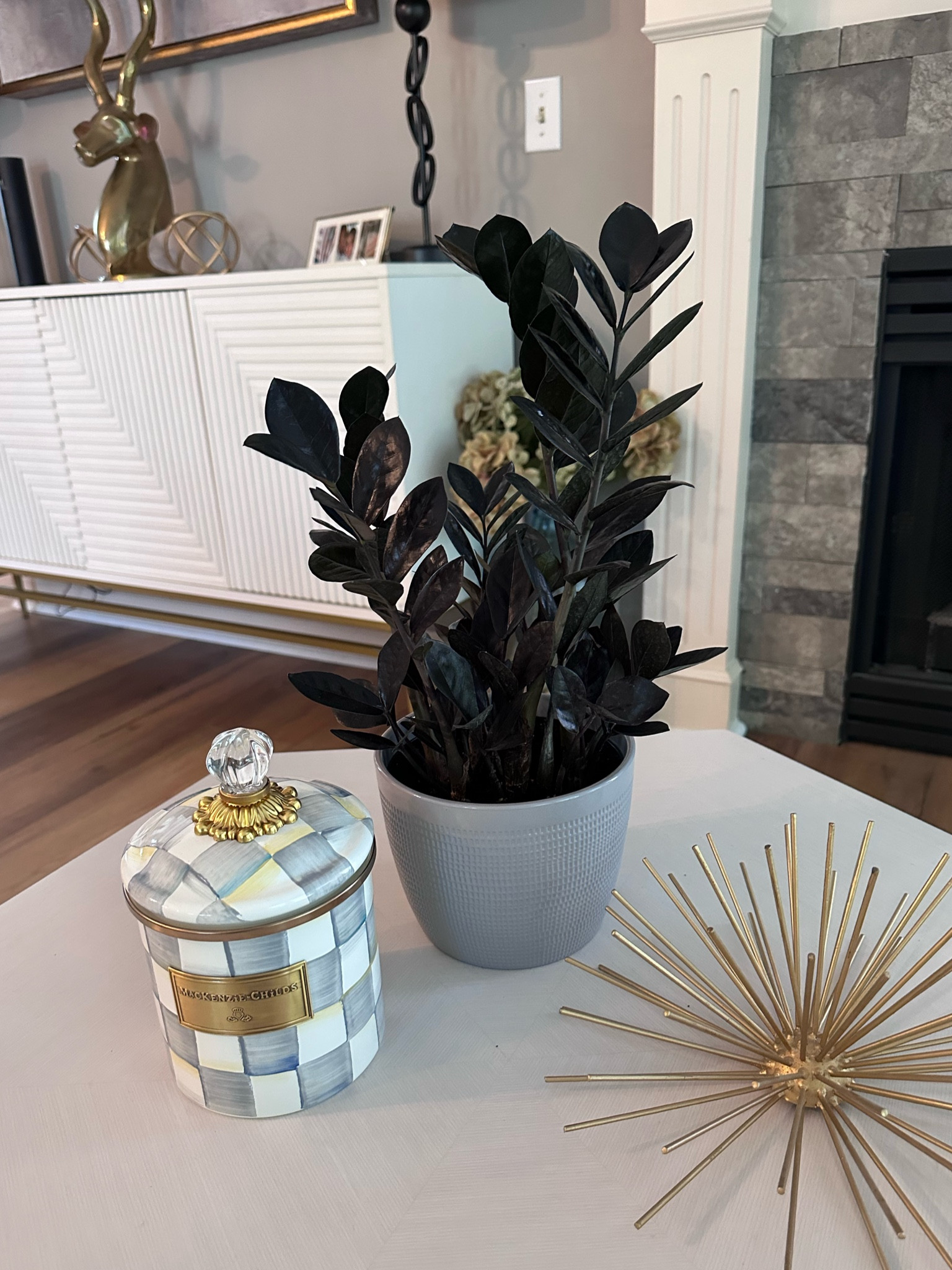 Amazon Prime Day 2023 Home Deal - House Plants! Raven ZZ, Swiss Cheese Monstera, and Pink Princess Philodendrons - limited stock 🫶 #amazonmusthaves #amazonprimeday 

#LTKxPrimeDay #LTKsalealert #LTKhome