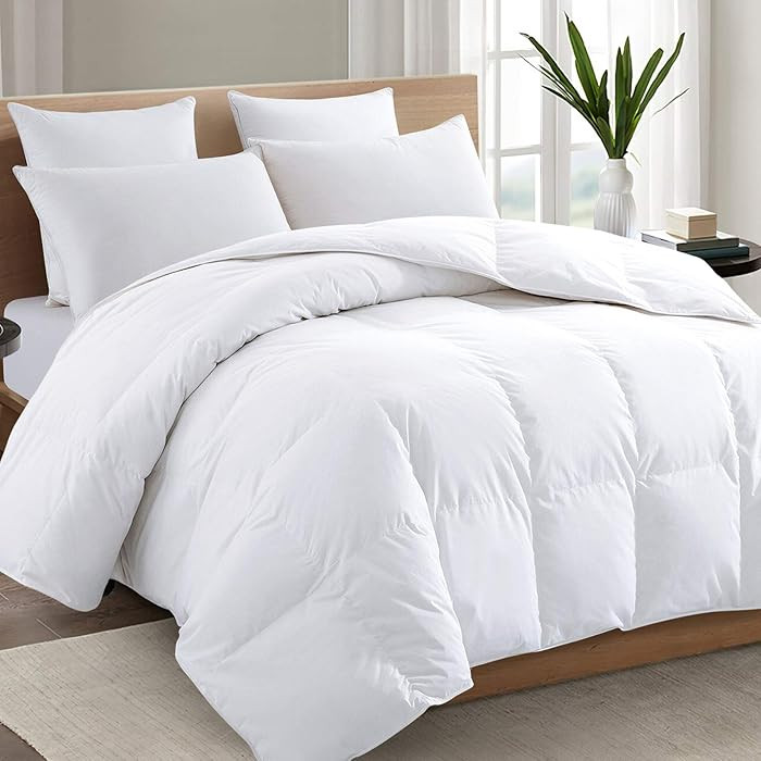 TEXARTIST Premium 2100 Series Queen Comforter All Season Breathable White Comforter Soft 4D Spira... | Amazon (US)