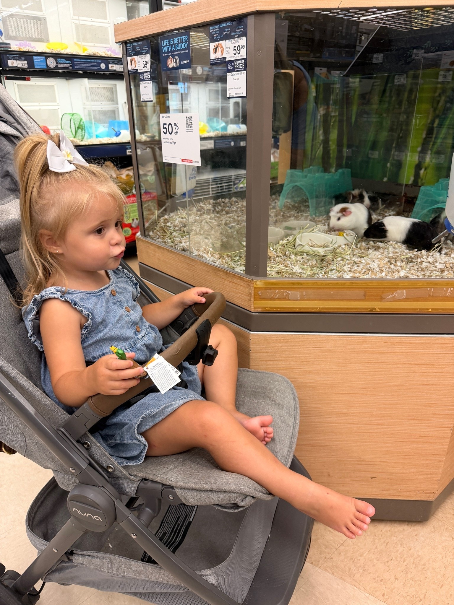 We love our Nina stroller and it’s on major sale right now which NEVER HAPPENS. It’s very compact and much smaller than big strollers which is why I love it! It hardly takes up space in my trunk and is so light.

#LTKmomlife #LTKBaby #LTKTravel