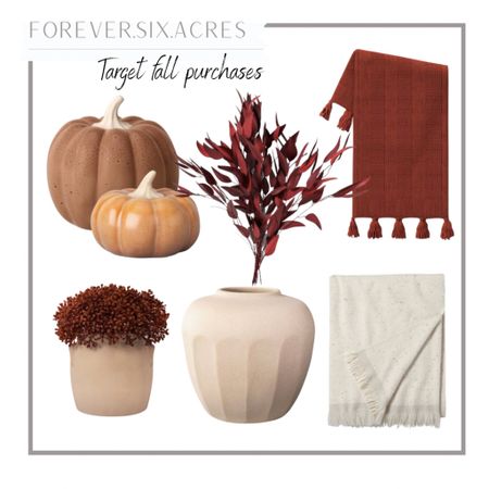 Target fall home decor, fall blanket, ceramic pumpkins, fall stems, preserved stems, neutral vase, 

#LTKhome #LTKunder50 #LTKSeasonal