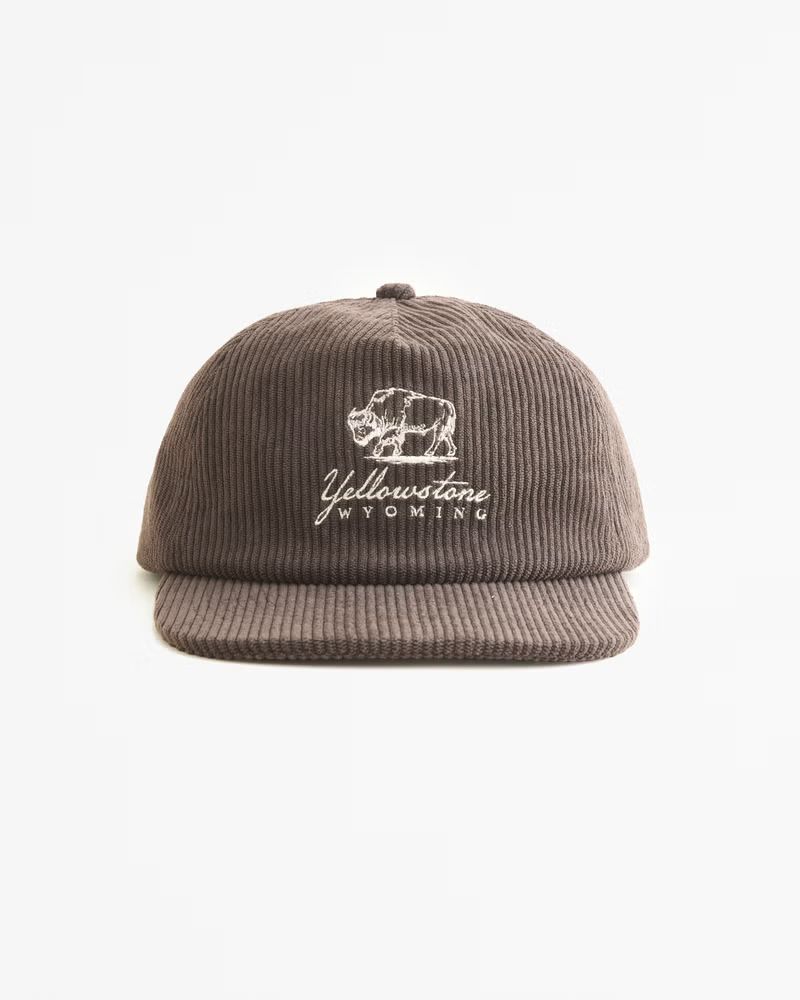 Corduroy Yellowstone Graphic Flat Bill Hat | Abercrombie & Fitch (US)