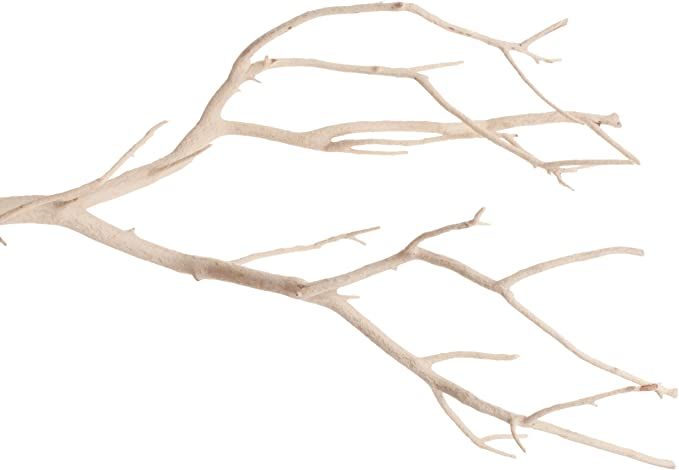 Koyal Wholesale Real Manzanita Branches, 18-Inch, Sandblasted | Amazon (US)