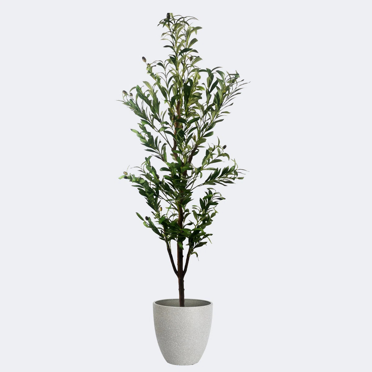 Type B Artificial Olive Tree & Resin Round Plant Pots with Tray | Wayfair North America