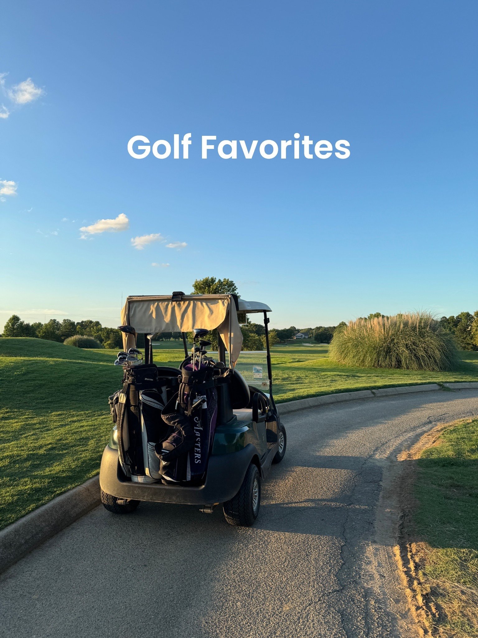 golf bag favorites  

#LTKActive