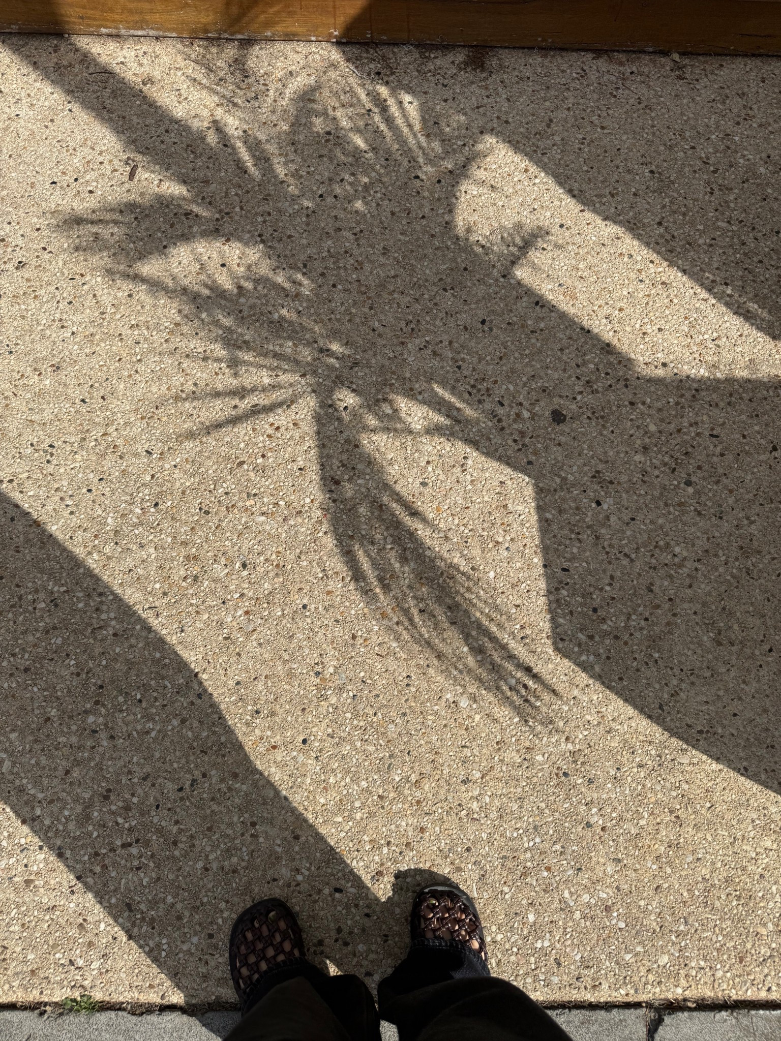 Holiday mode shoes 🌴