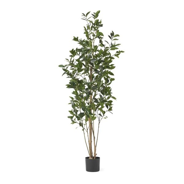 Artificial Laurel Tree in Pot | Wayfair Professional