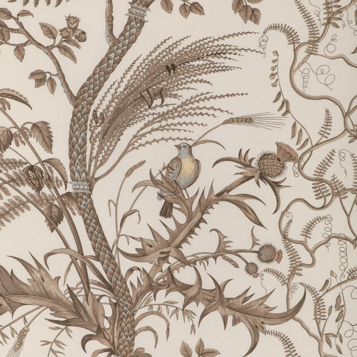 Brunschwig & Fils Bird And Thistle Cotton Print Beige Fabric | DecoratorsBest