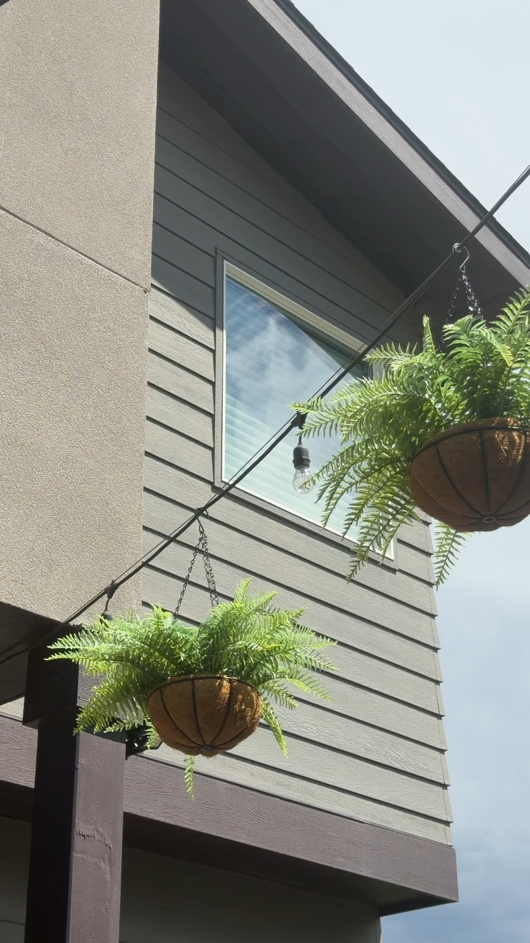 Faux ferns look real

#LTKOver40 #LTKHome