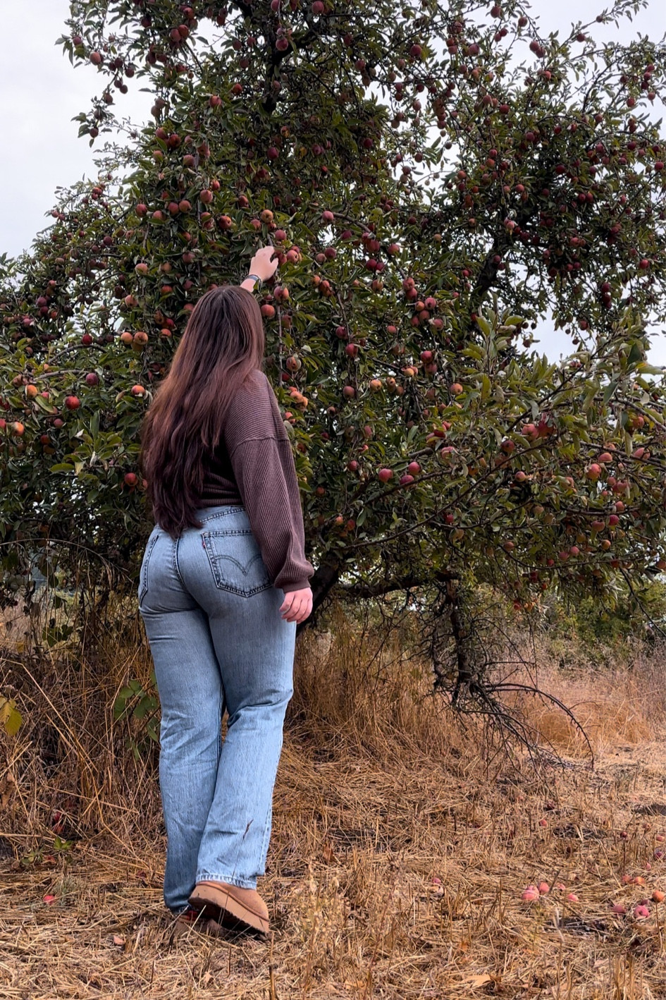 My fav fall fit 🫶🏼 sweater I’m wearing is from aerie but they no longer sell it so I linked the most similar ones I could find 💓

#LTKSeasonal #LTKfindsunder100 #LTKmidsize