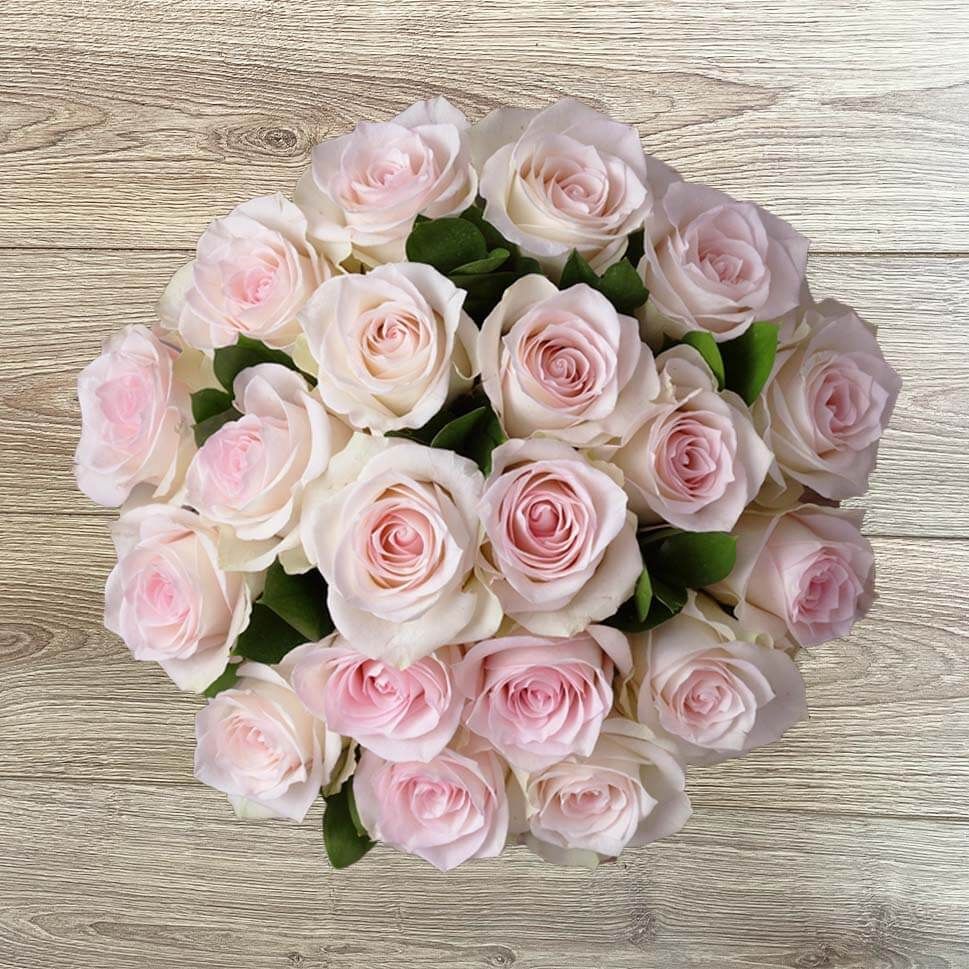 Light Pink Roses Bouquet | Pink Roses Delivery – Rosaholics | Rosaholics