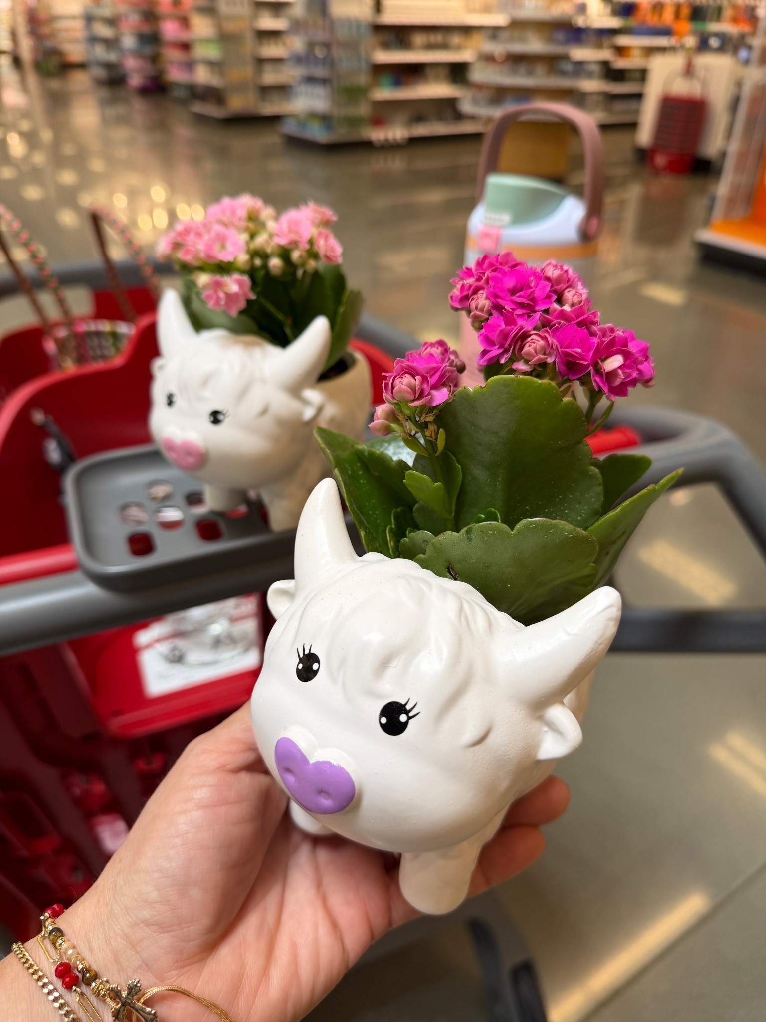 The perfect Mother’s Day gift 🌷

#LTKSeasonal #LTKdayinmylife #LTKmomlife