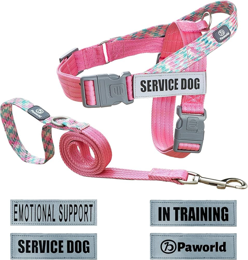 Service Dog Harness and Leash Set, No-Pull Service Dog Vest with 4 PCS Reflective Patches, Dog Ve... | Amazon (US)