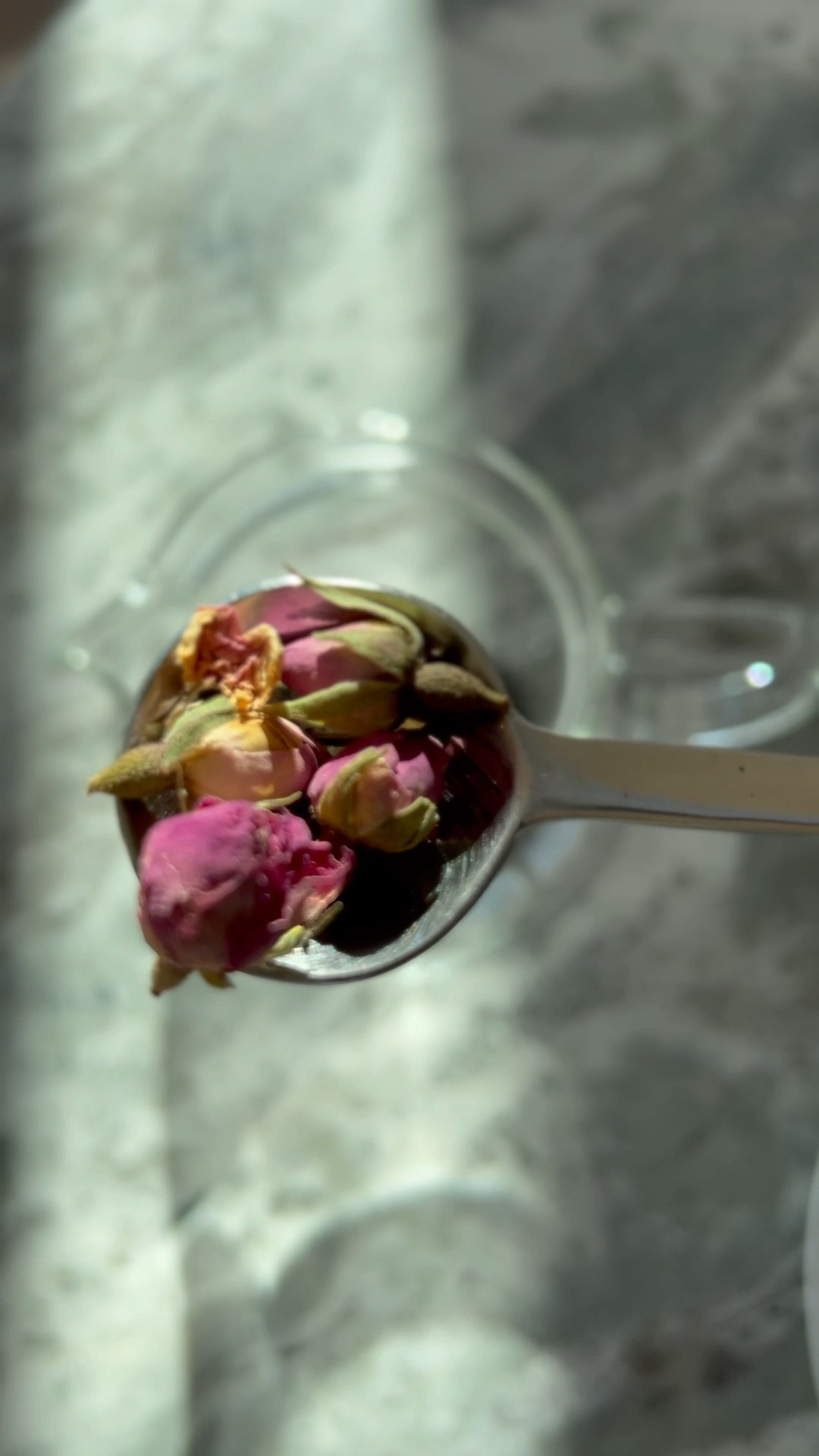 Rose Tea.

#LTKSeasonal #LTKFind #LTKGiftGuide