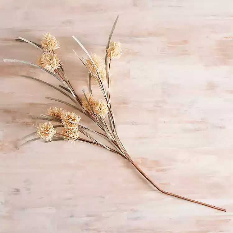 Cream Raffia 2-pc. Grass Stems, 34 in. | Kirkland's Home