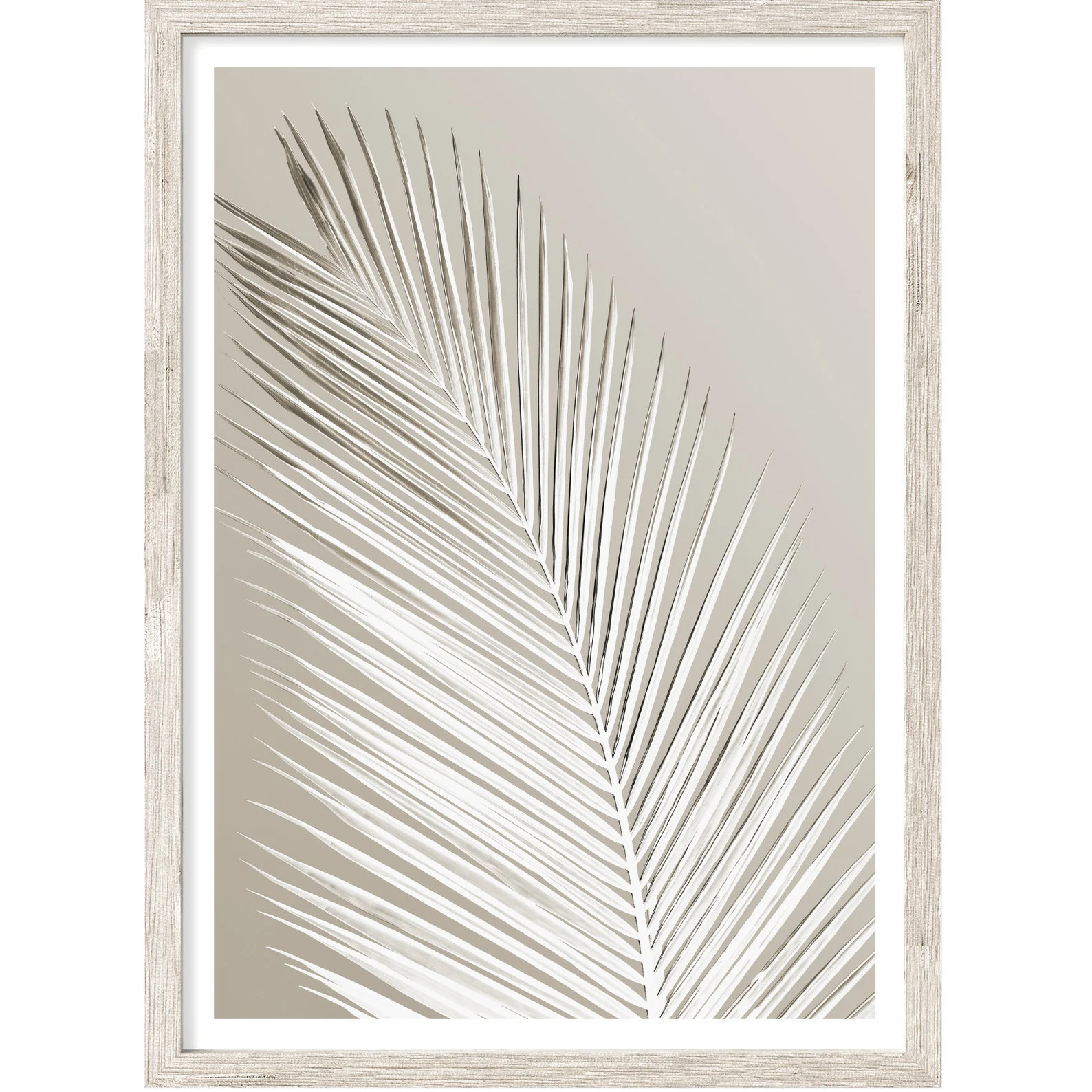 Palm Tree Print, Extra Large Wall Art Prints, Coastal Prints, Neutral Wall Art, Botanical Decor, ... | Etsy (Global)