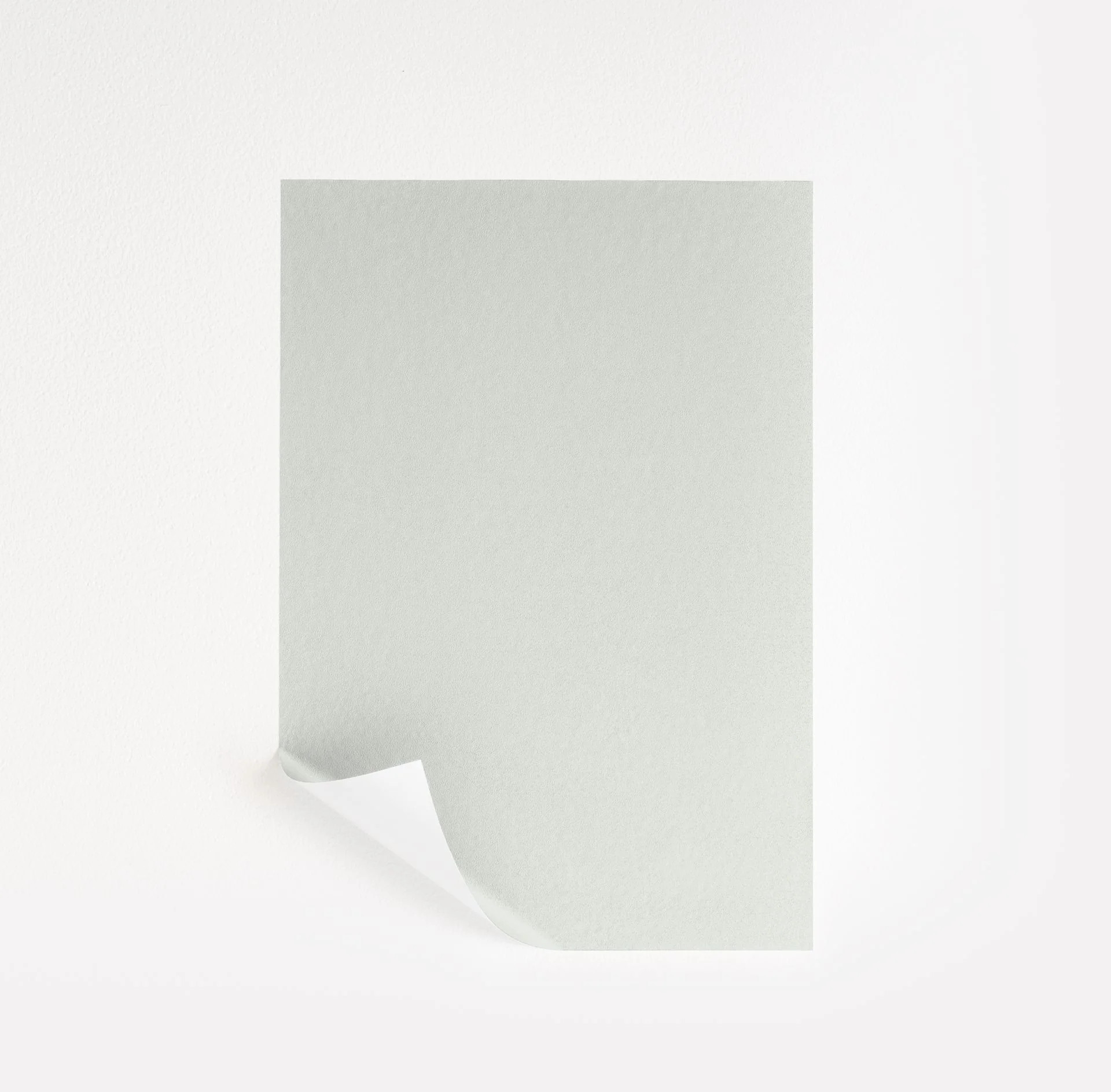 Gray Lake Paint Sample by Benjamin Moore (2138-70) | Peel & Stick Paint Sample | Samplize