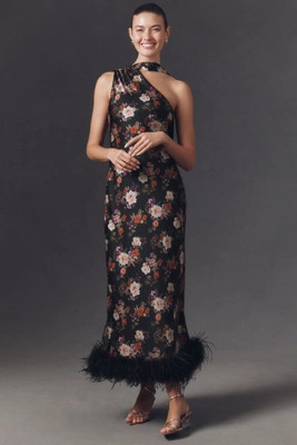 Hutch One-Shoulder Faux-Feather Trim Maxi Dress | Anthropologie (US)