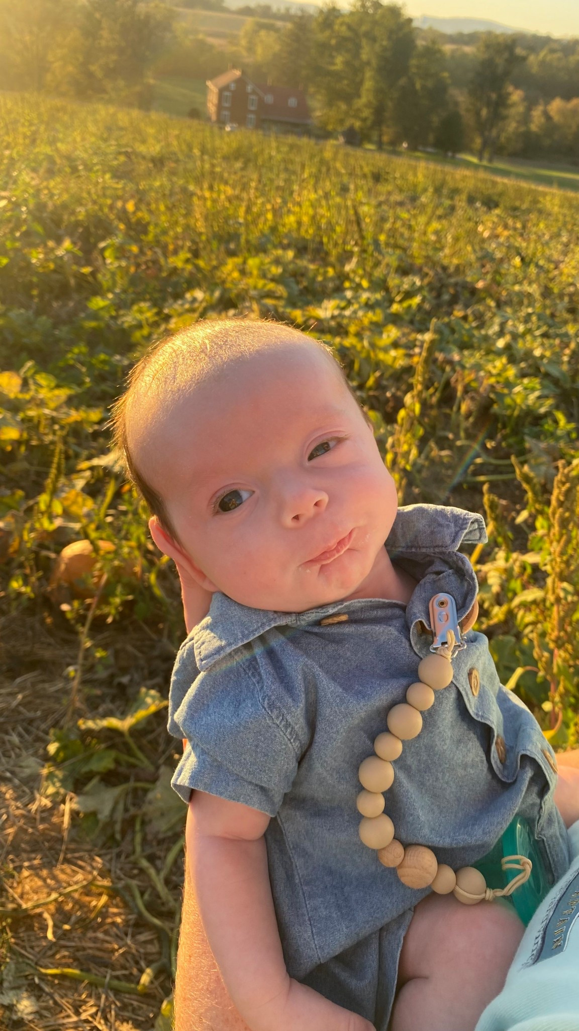 Absolutely loved the twins denim/chambray outfits for fall pumpkin patch pics! 

#LTKHalloween #LTKSeasonal #LTKBaby