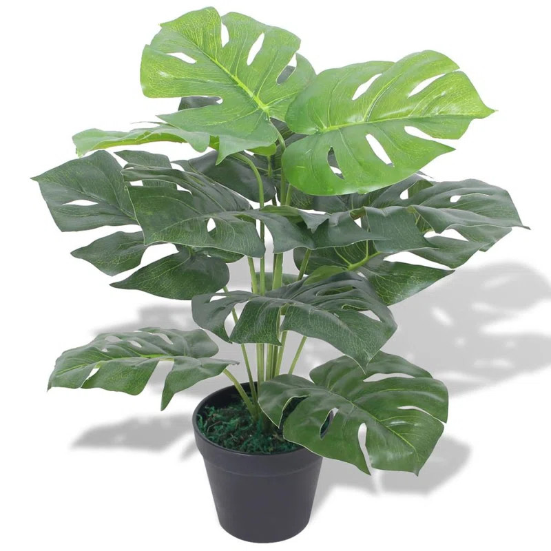 Monstera Foliage Plant in Pot | Wayfair North America