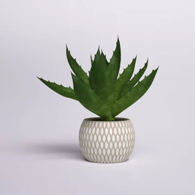 7" Artificial Succulent Plant in Pot | Wayfair North America