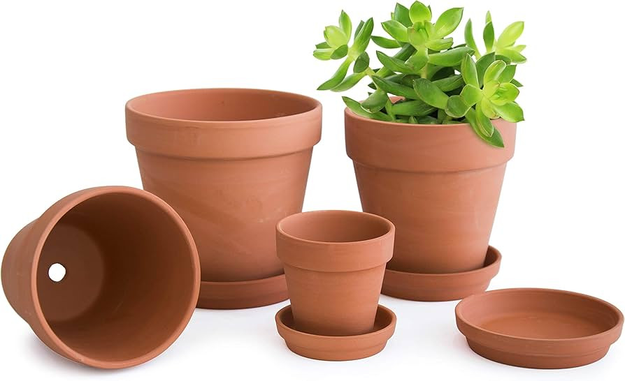 D'vine Dev Set of 4 Small Clay Planters, 3 Inch 4.5 Inch 5 Inch 6 Inch Terracotta Plant Pots with... | Amazon (US)