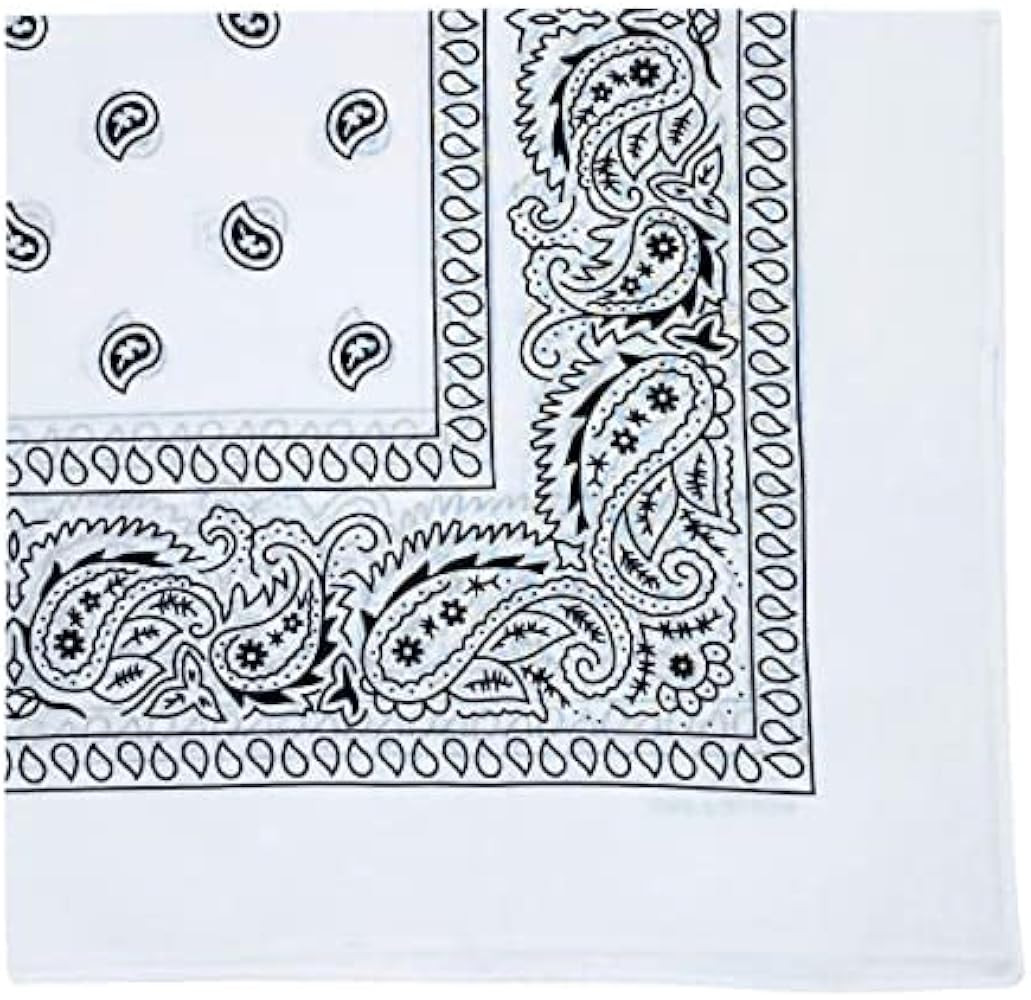 MDSTYLE 100% Cotton Bandana for Men & Women 22" x 22" Paisely Pattern | Amazon (US)
